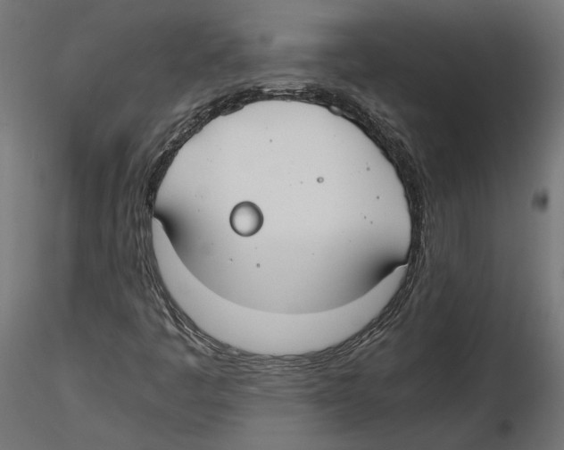 X0000116461445201001061028
