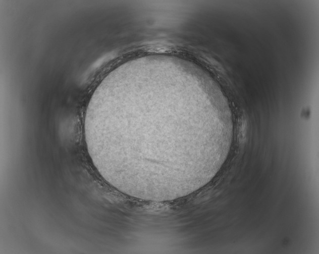 X0000116461446201001061028