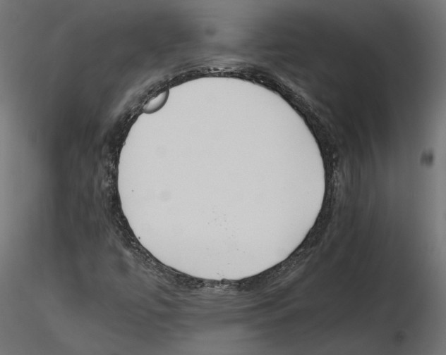 X0000116461447201001061028