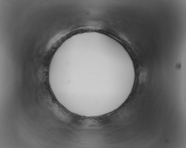X0000116461448201001061028