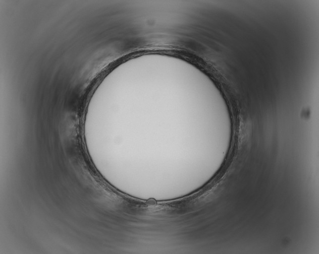 X0000116461449201001061028