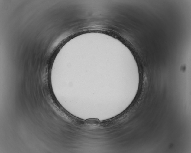 X0000116461450201001061028