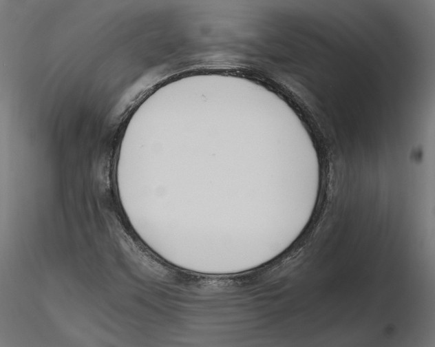 X0000116461451201001061028