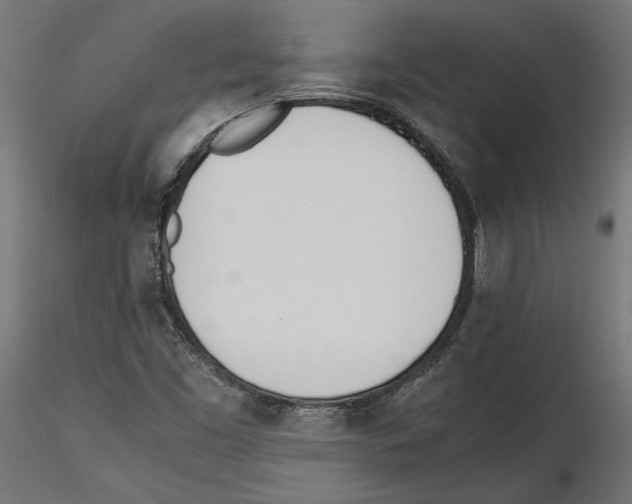 X0000116461453201001061028