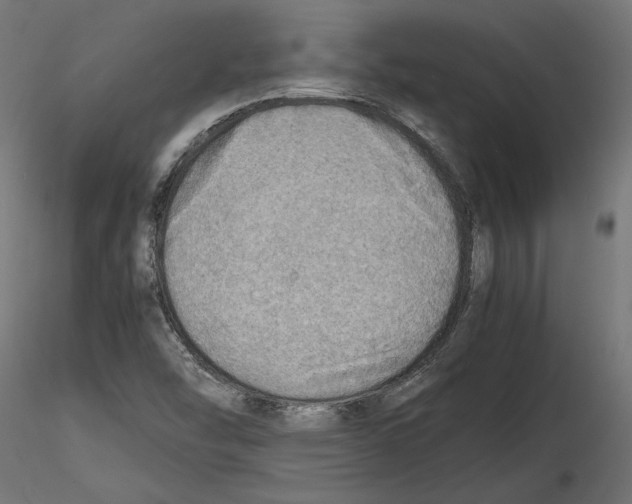 X0000116461454201001061028