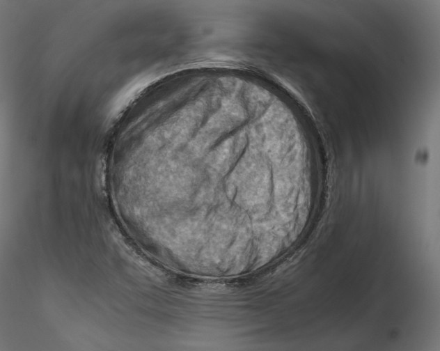 X0000116461455201001061028