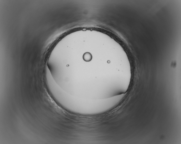 X0000116461456201001061028