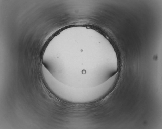 X0000116461457201001061028