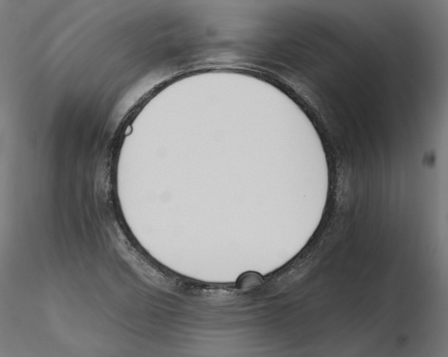 X0000116461458201001061028