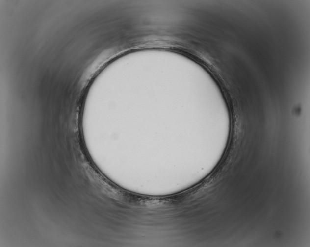 X0000116461459201001061028