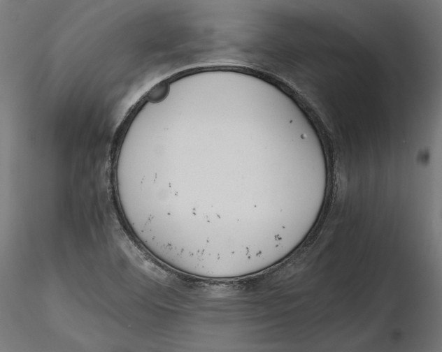 X0000116461460201001061028