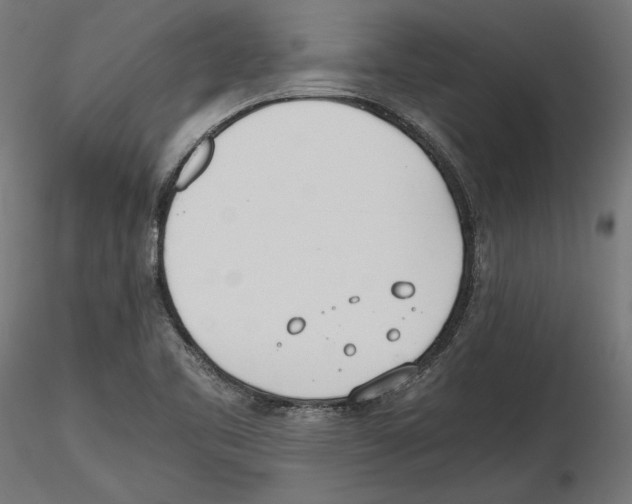 X0000116461461201001061028