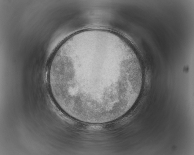 X0000116461462201001061028