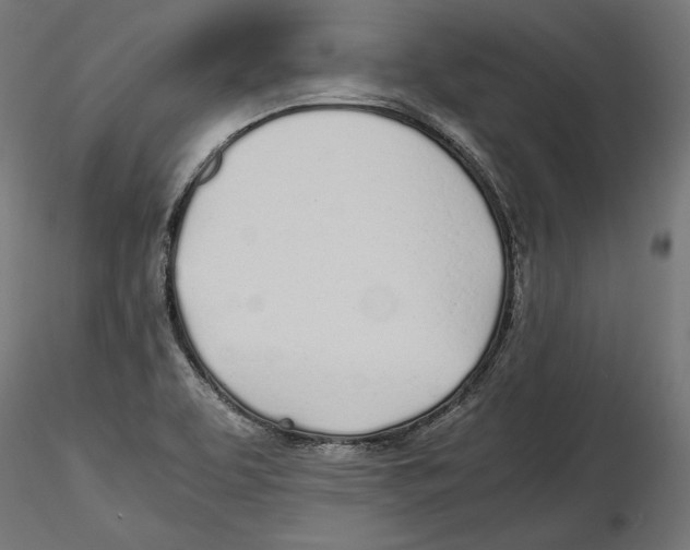 X0000116461463201001061028