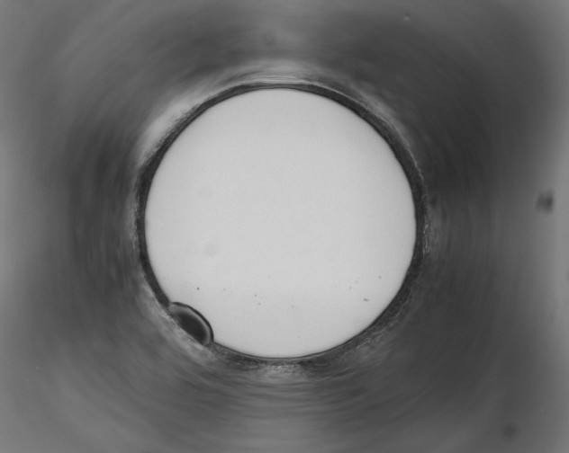 X0000116461464201001061028