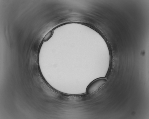 X0000116461465201001061028