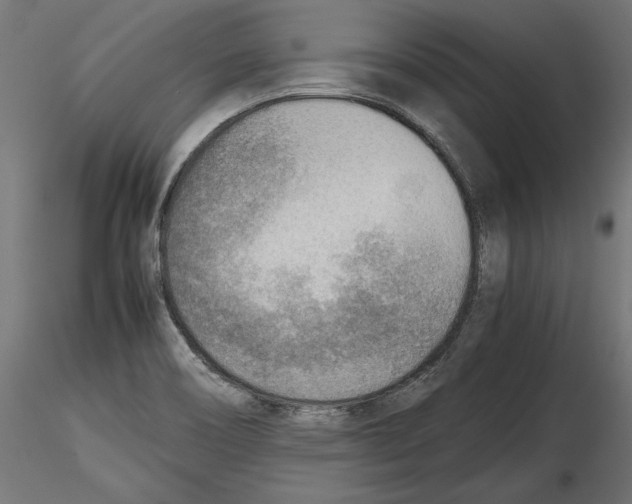 X0000116461466201001061028