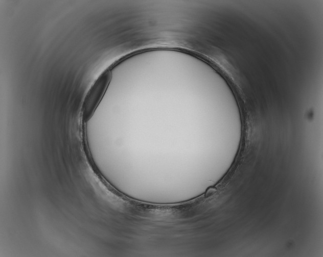 X0000116461468201001061028