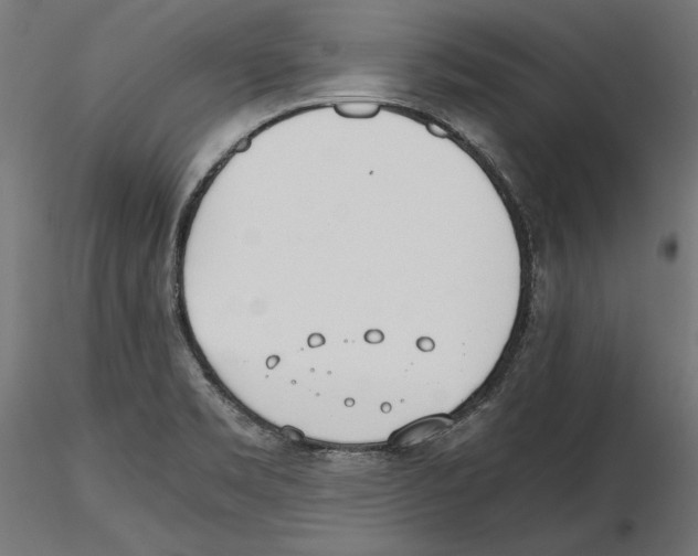 X0000116461469201001061028