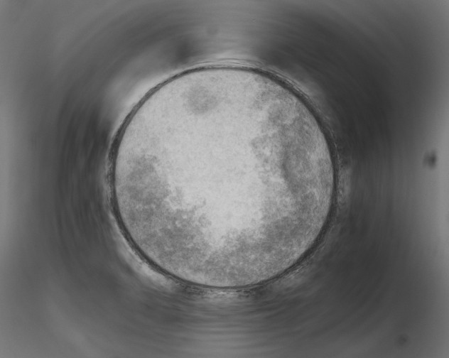 X0000116461470201001061028
