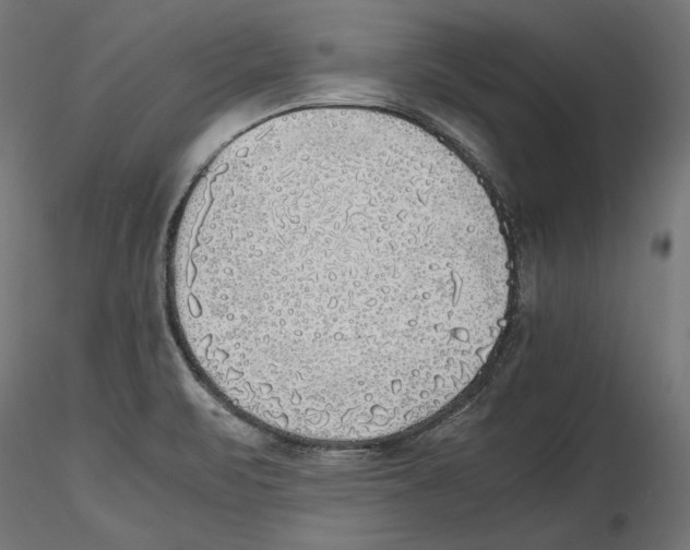 X0000116461471201001061028