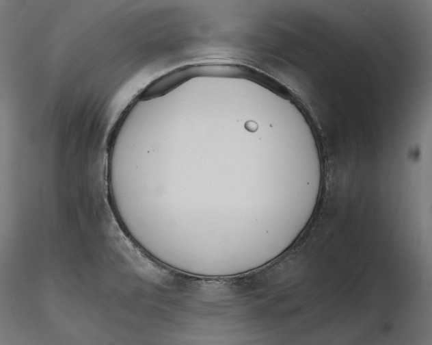X0000116461472201001061028