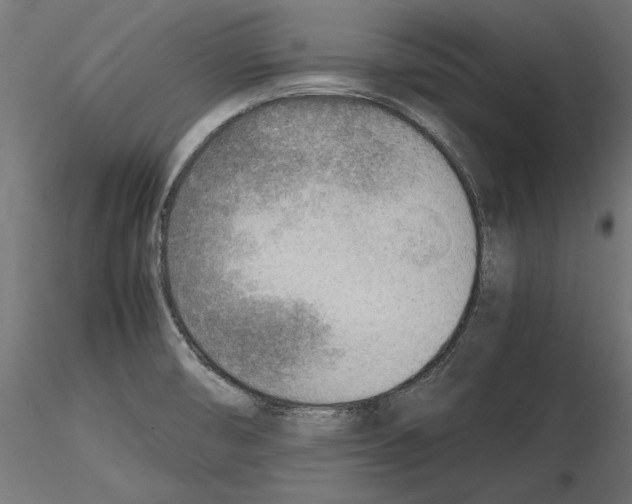 X0000116461474201001061028