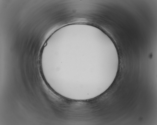 X0000116461475201001061028