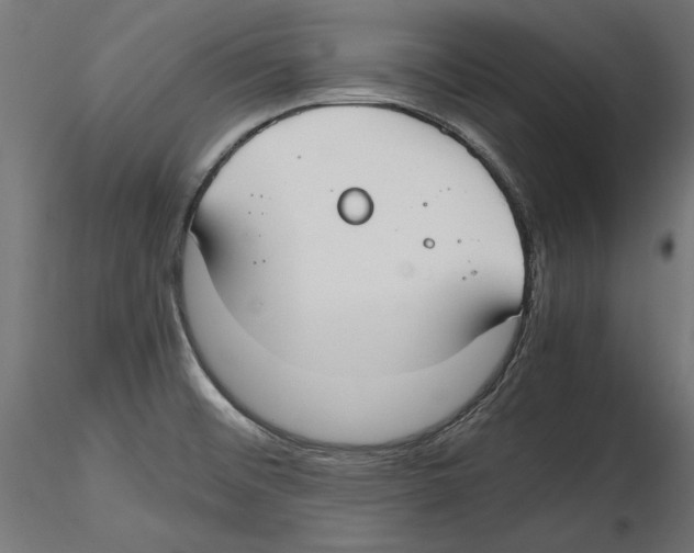 X0000116461476201001061028
