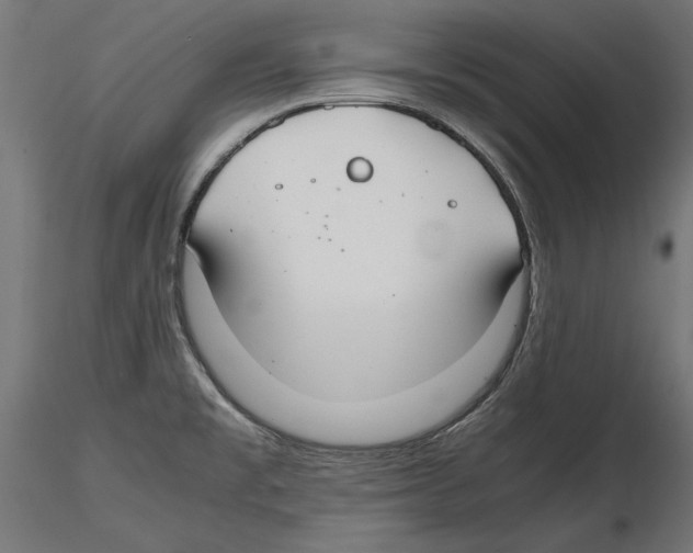 X0000116461477201001061028