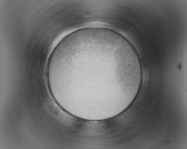 X0000116461478201001061028