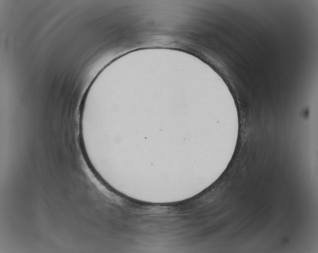 X0000116461479201001061028