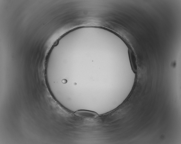X0000116461480201001061028
