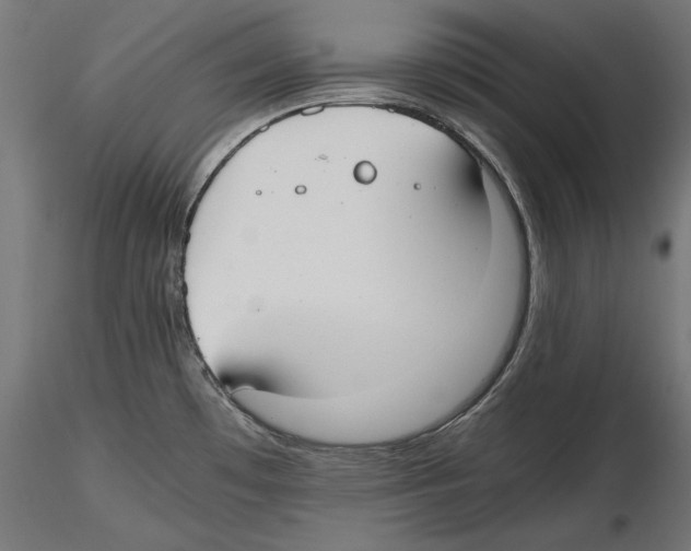 X0000116461481201001061028