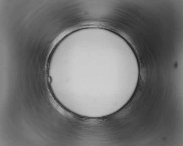 X0000116461482201001061028