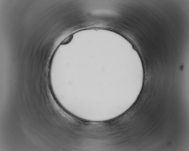 X0000116461483201001061028