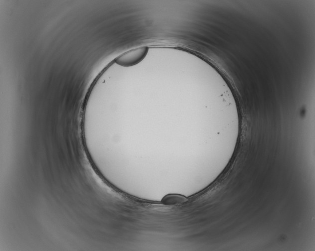 X0000116461484201001061028