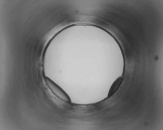 X0000116461485201001061028