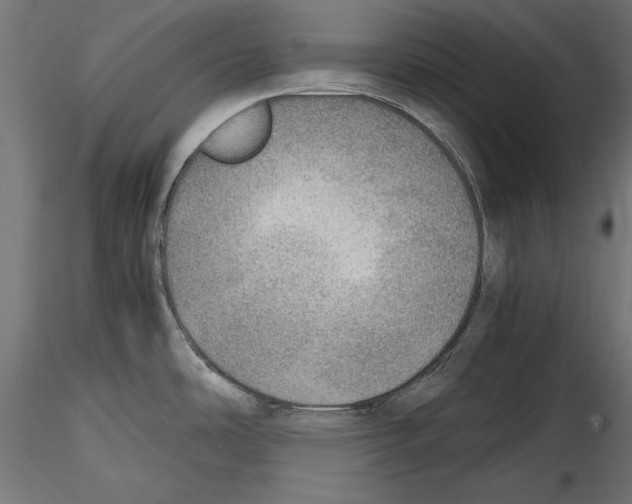 X0000116461486201001061028