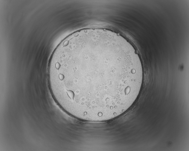 X0000116461487201001061028