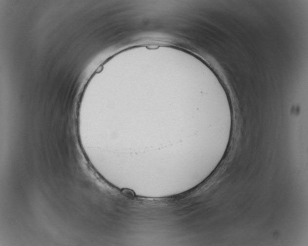 X0000116461488201001061028