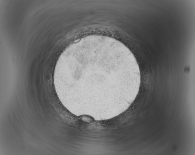 X0000116461489201001061027