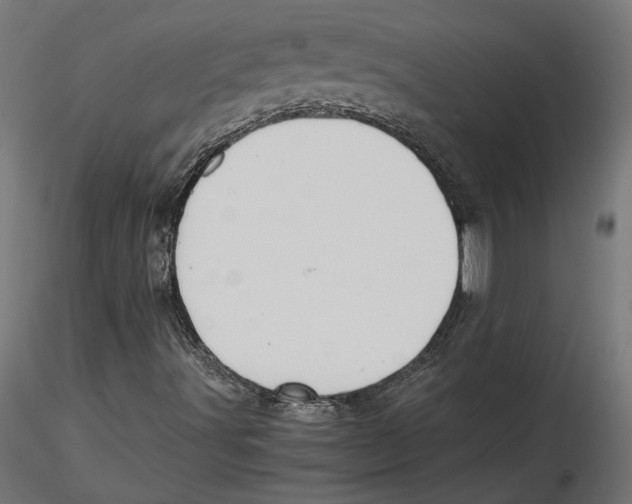 X0000116461491201001061027
