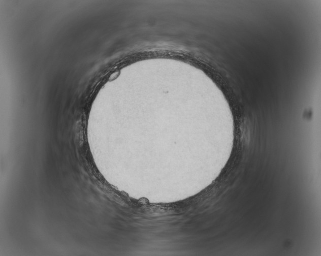 X0000116461493201001061027