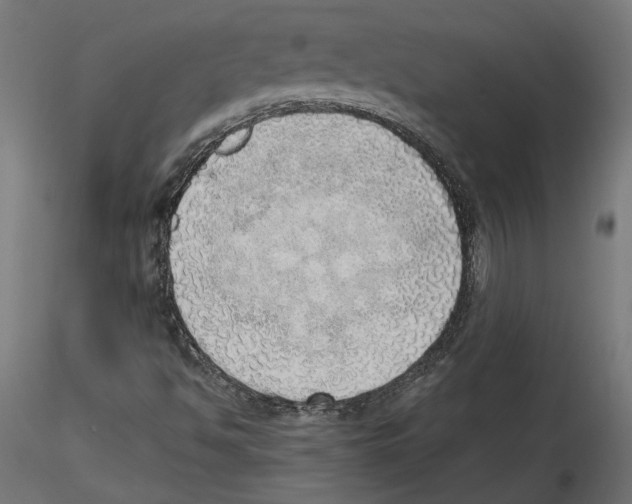 X0000116461494201001061027