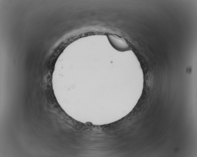 X0000116461495201001061027