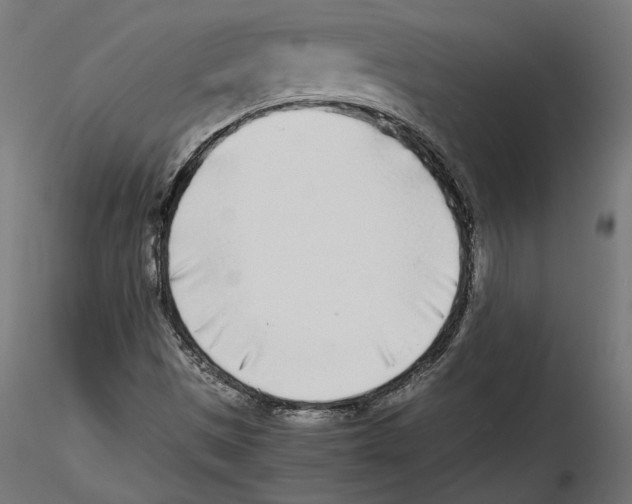 X0000116461497201001061027