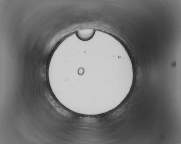 X0000116461499201001061027