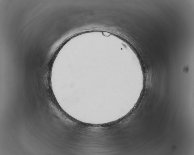 X0000116461502201001061027