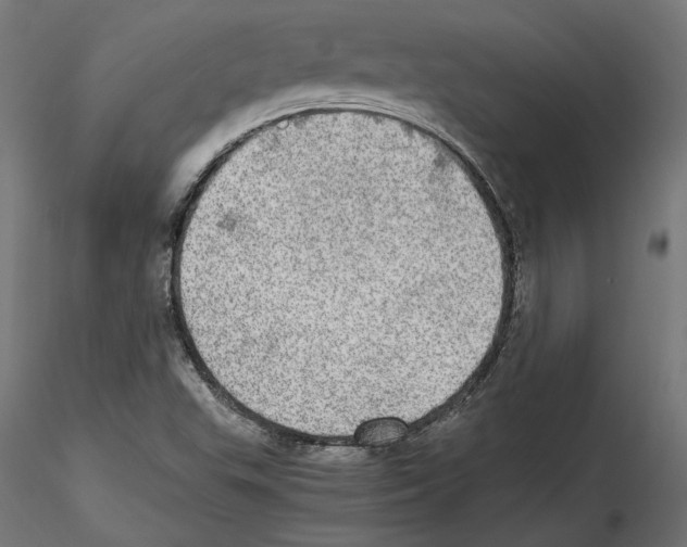 X0000116461503201001061027
